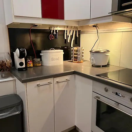 Apartment Center Close To Kings Palace Oslo
